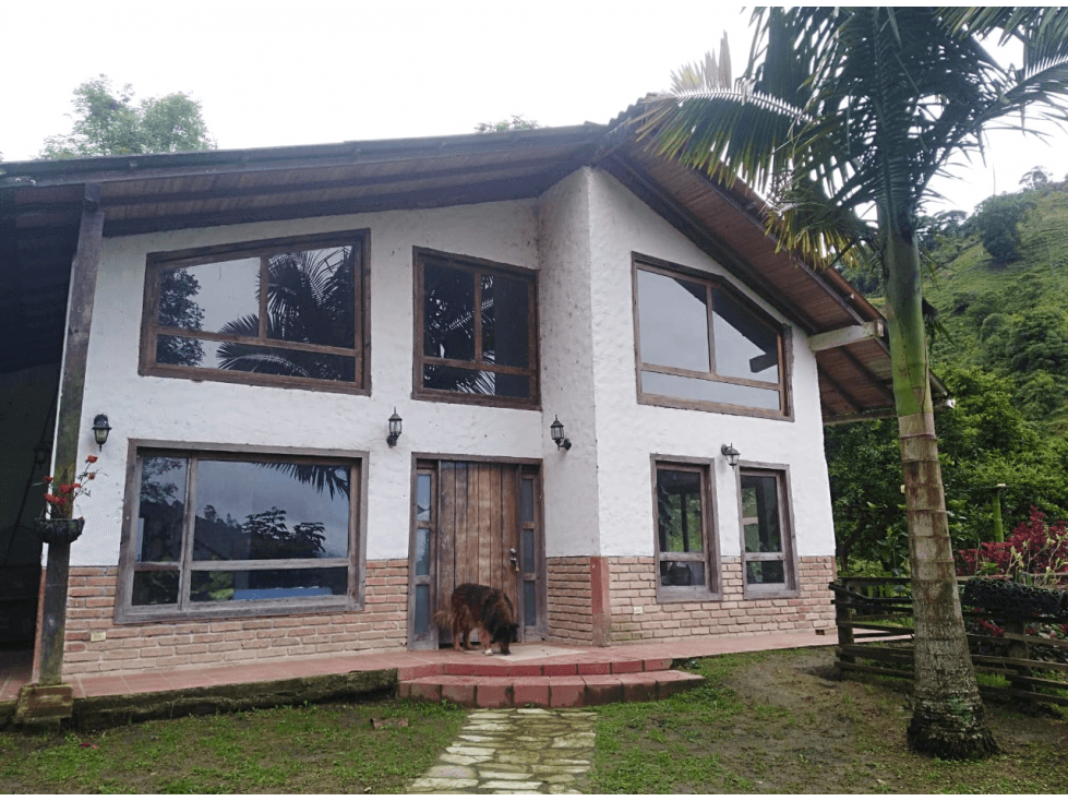 Venta Finca en la vía Córdoba a Pijao Quindío. Colombia COD: 8520185 - 1