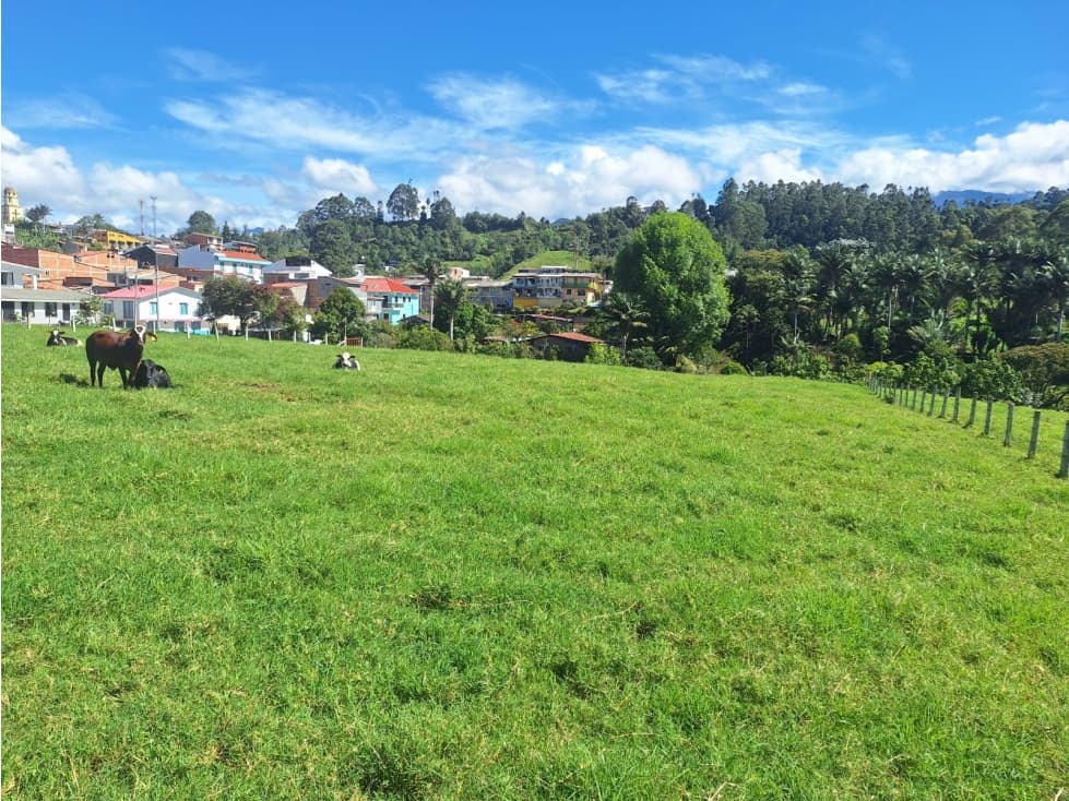 Venta Lote Salento Quindío - Colombia COD: 564264 - 1