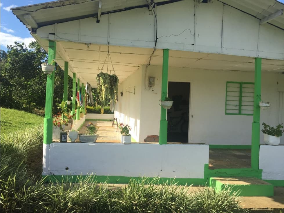 Venta Finca en la vía Caicedonia a Sevilla - Colombia COD: 9265440 - 1