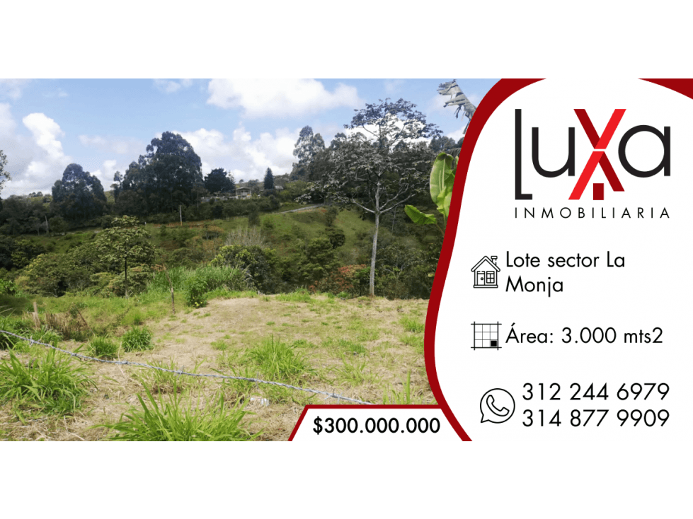 LUXA VENDE LOTE PARCELACIÓN LA MONJA - TIMBIO - 1