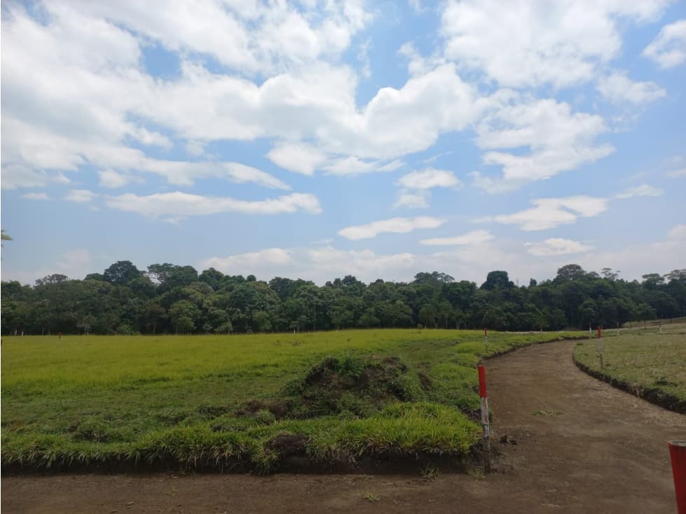 LUXA VENDE LOTES CAMPESTRES SENDEROS DEL BOSQUE - LAGO BOLSON POPAYAN - 1