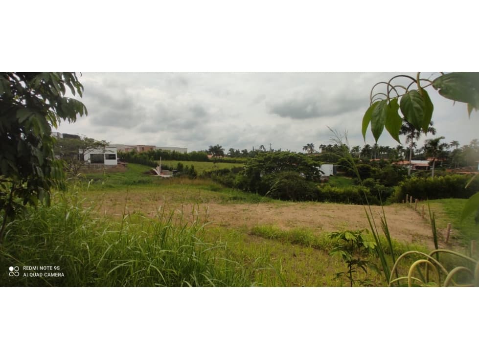 VENTA DE LOTES VIA CERRITOS, LA VIRGINIA, TU VIVIENDA EN COLOMBIA - 1