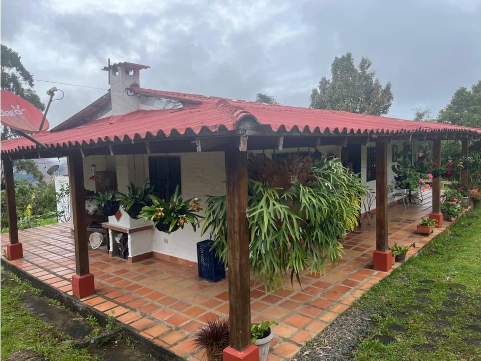 HERMOSA FINCA PRODUCTIVA - 1