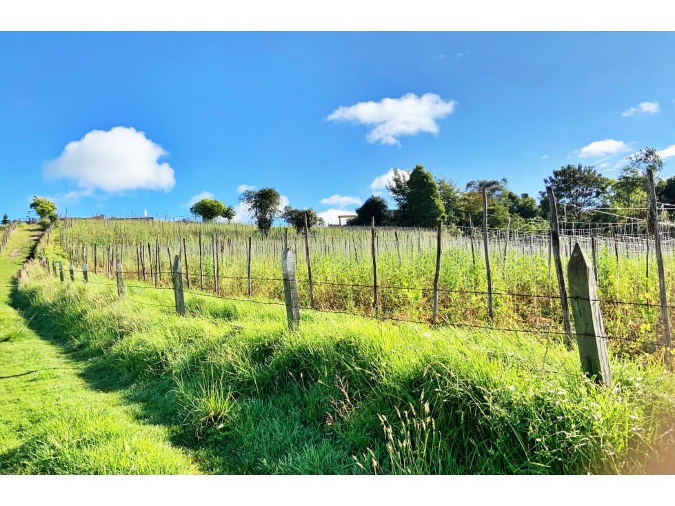 LOTE PARA LA VENTA EN CUATRO ESQUINAS FACATATIVA CUNDINAMARCA. - 1