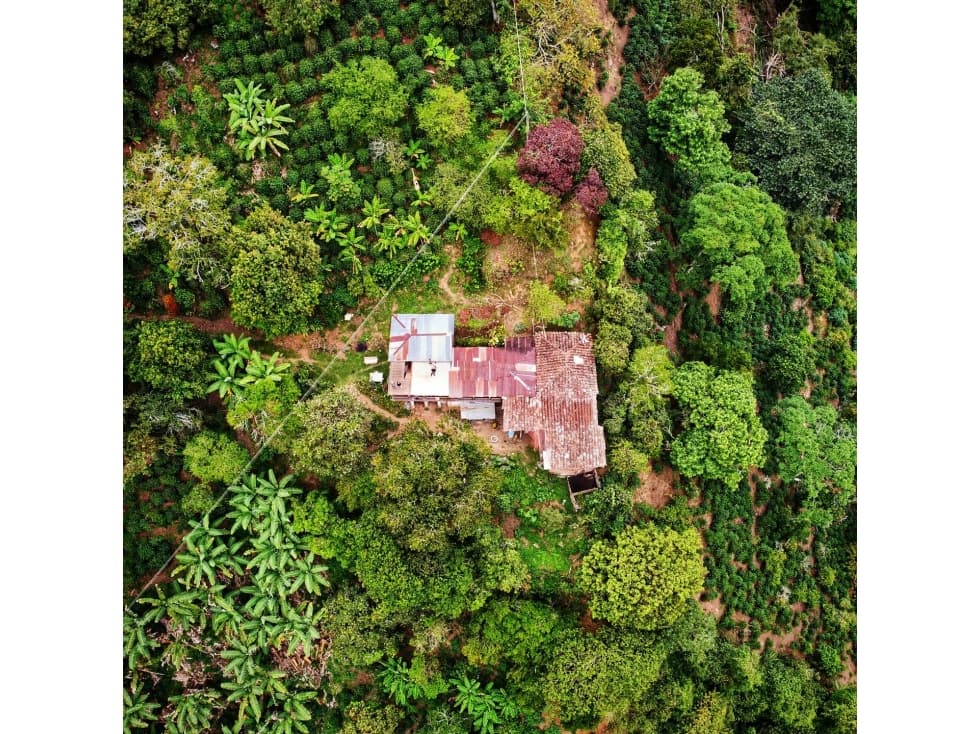 Se vende finca en Génova Quindío - 1