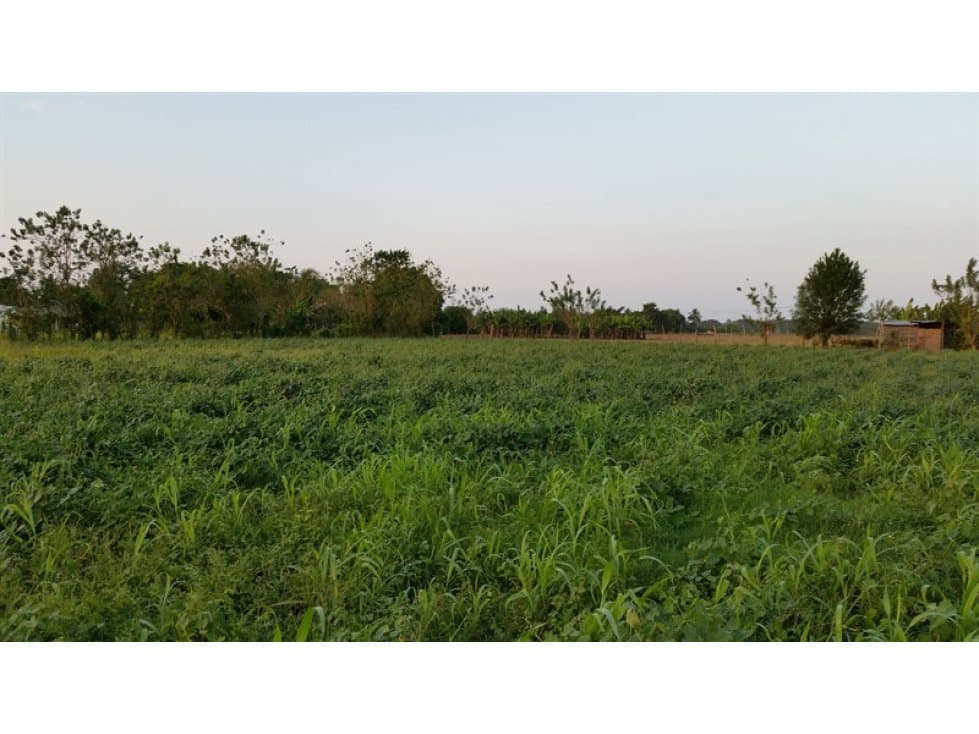 VENDO FINCA REPRESA EN SAN JUAN DEL CESAR.-GUAJIRA (SUR) - 1