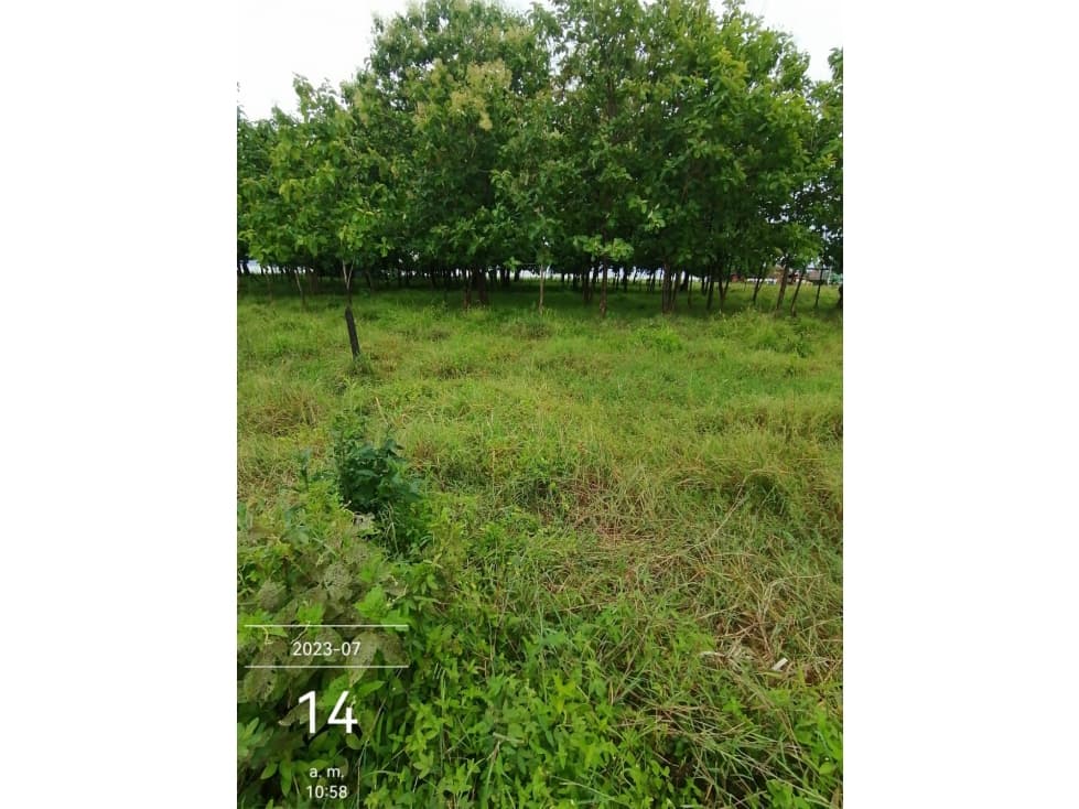 SC RED INMOBILIARIA VENDE LOTE VIA A ARBOLETES. - 1
