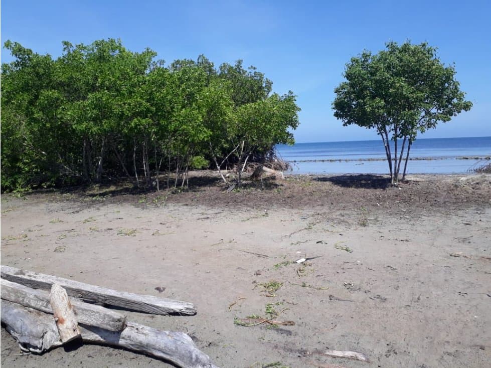 VENDO/ PERMUTO LOTE EN ISLA BOQUERÓN - SUCRE - 1