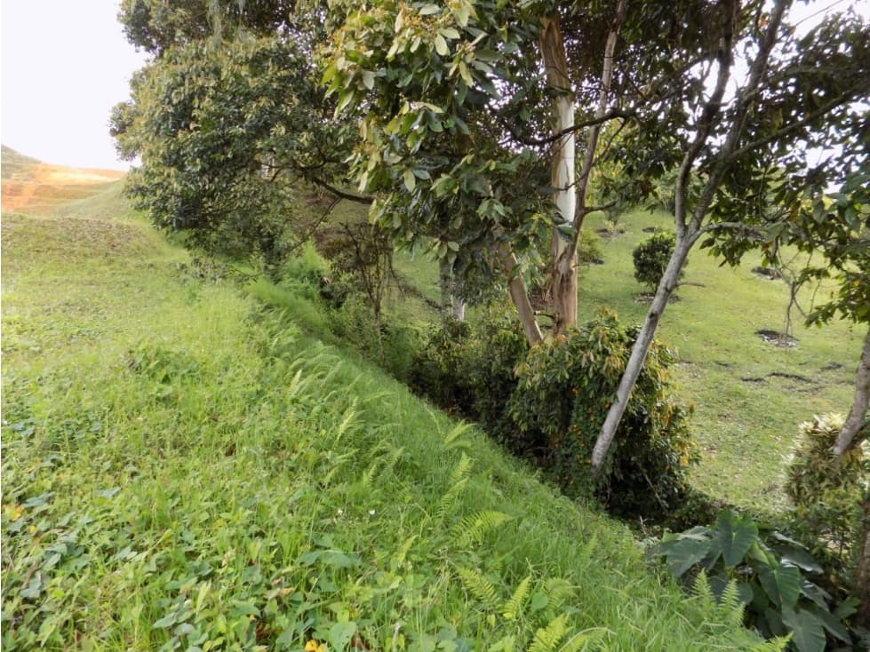 C - Venta Lote Parcelación en La Ceja Antioquia, vereda San Nicolas - 1