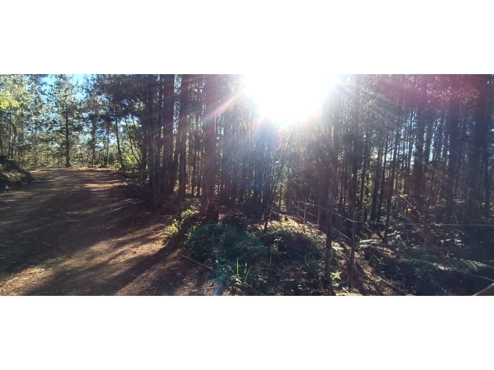 Venta Lotes en La Unión. Antioquia(C) - 1