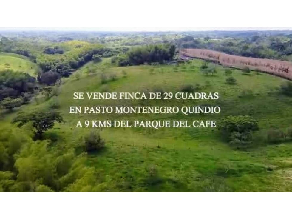 FINCA EN VENTA EN MONTENEGRO QUINDIO - 1