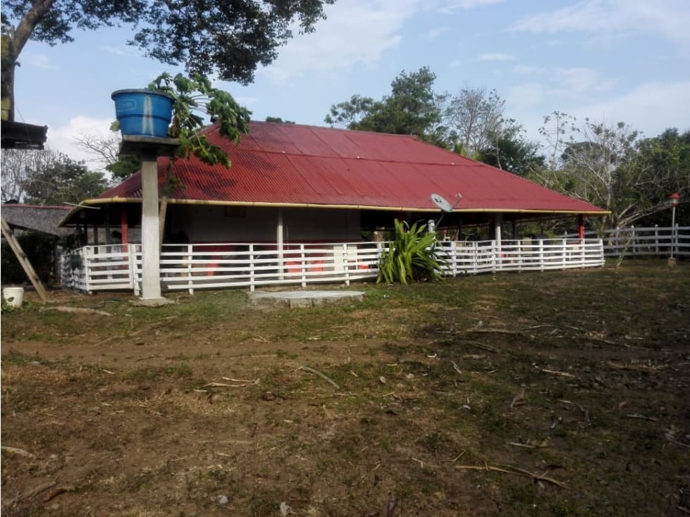 VENDO FINCA PLATANERA EN LOS CORDOBAS - 1