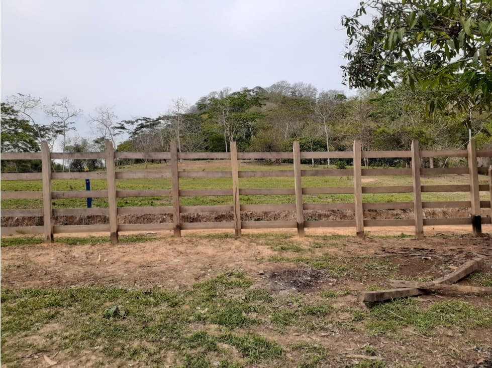 VENDO FINCA EN CIENAGA DE ORO CORDOBA - 1