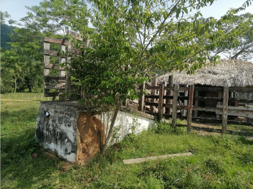VENDO FINCA EN TIERRALTA CORDOBA COLOMBIA - 1
