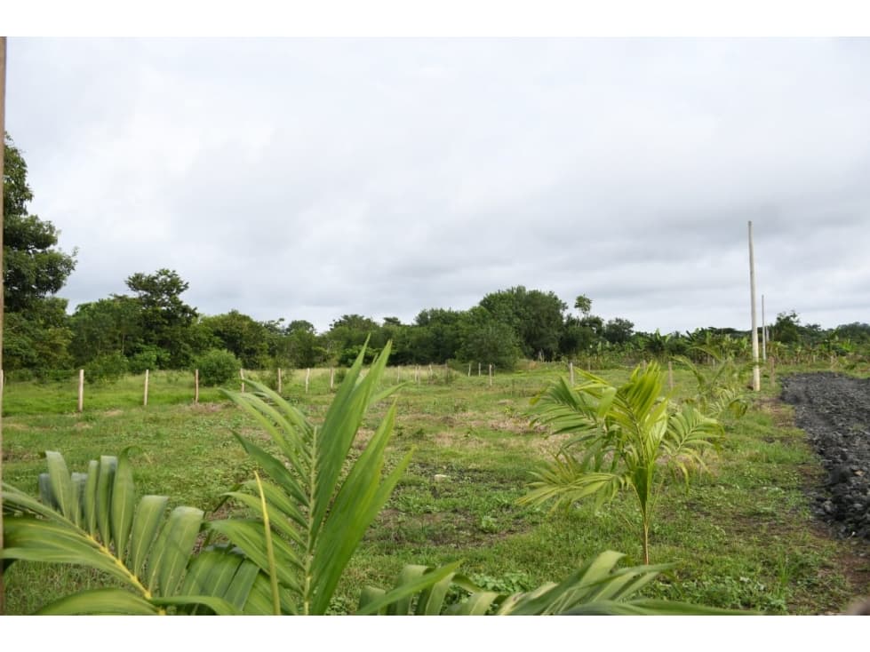 VENDO LOTES CAMPESTRES CERCA AL MAR EN LOS CORDOBAS - 1