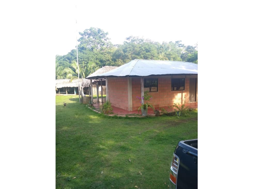 VENDO FINCA UBICADA VÍA A PLANETA RICA CÓRDOBA - 1