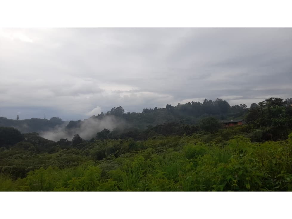 Lote campestre en Filandia con reserva natural - 1