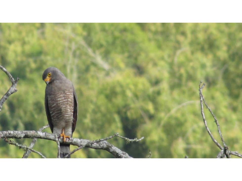 Finca con hermosa vista en Filandia - 1