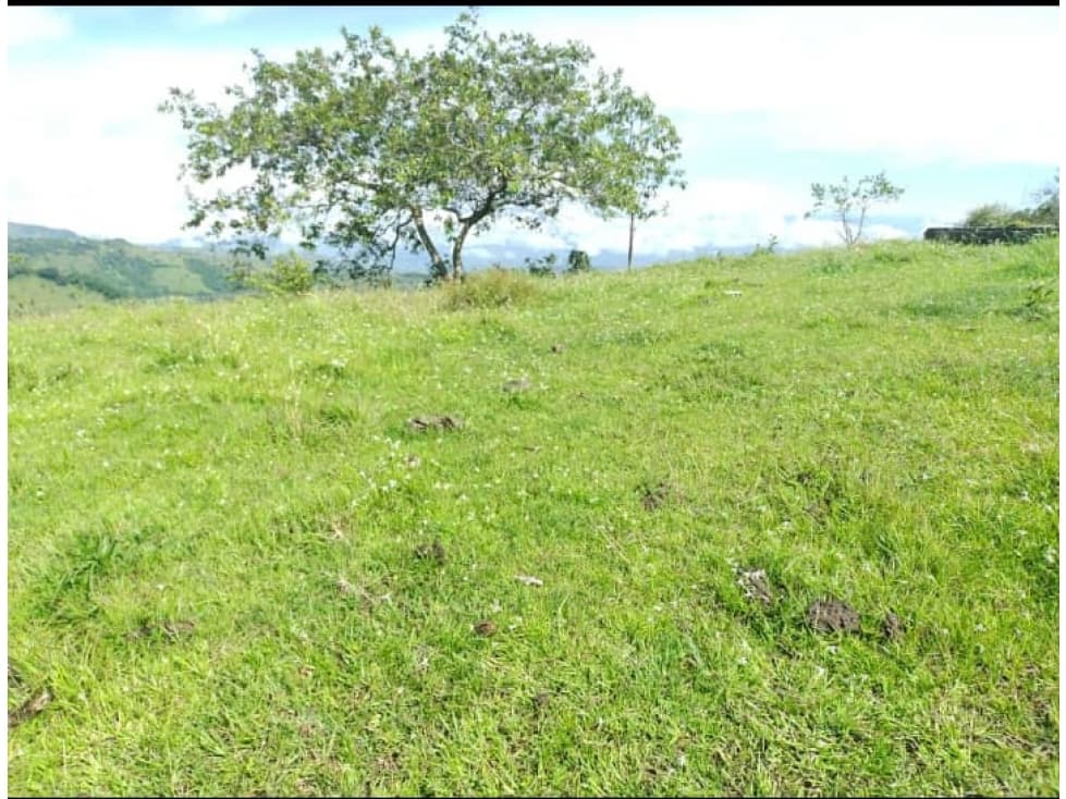 VENTA EXCELENTE LOTE, SAN JERÓNIMO-ANT - 1