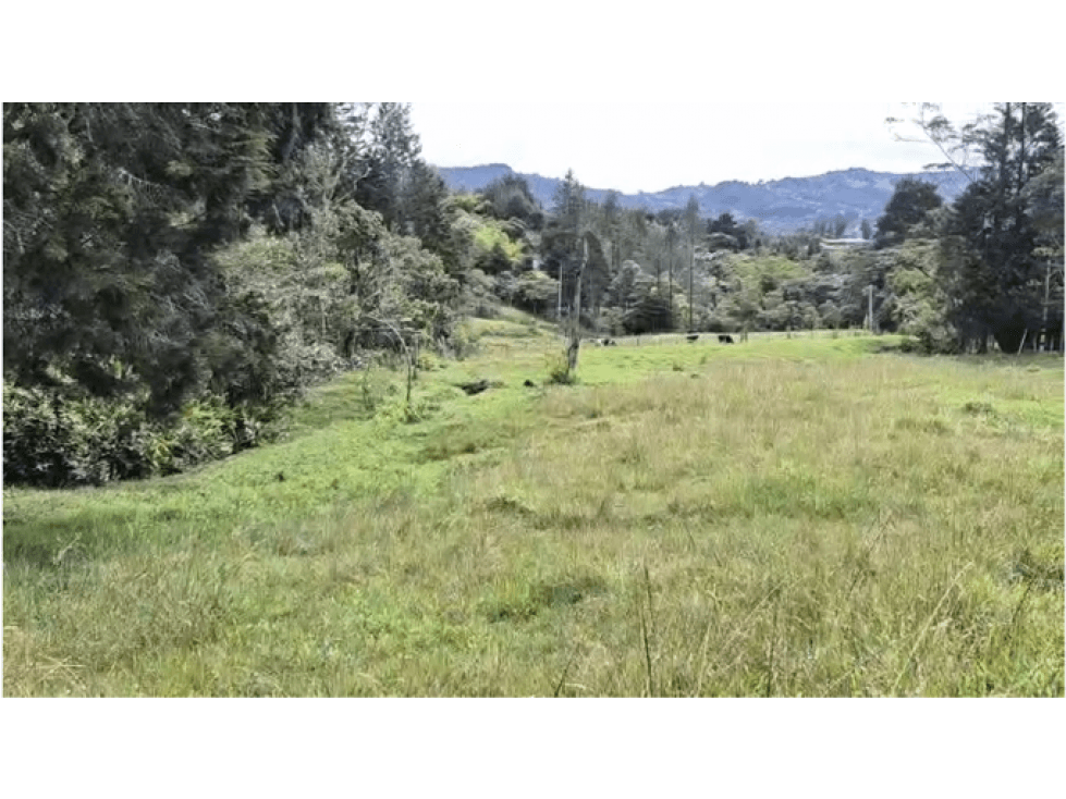 VEN/CAMBIO LOTE GUARNE ANTIOQUIA - 1