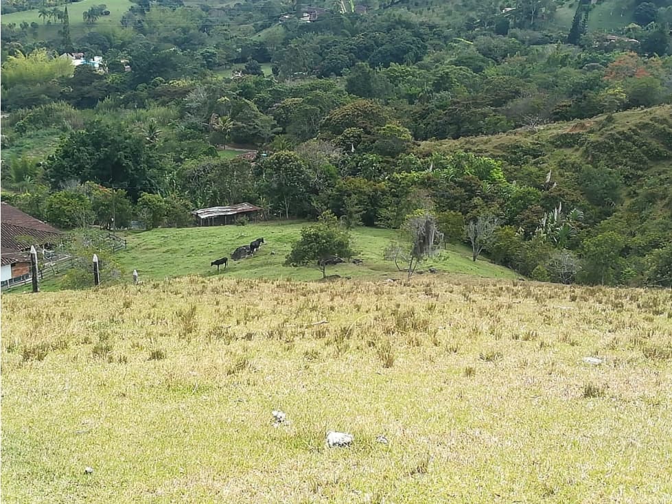 VENTA LOTE EL GUAYABO, BARBOSA ANT - 1