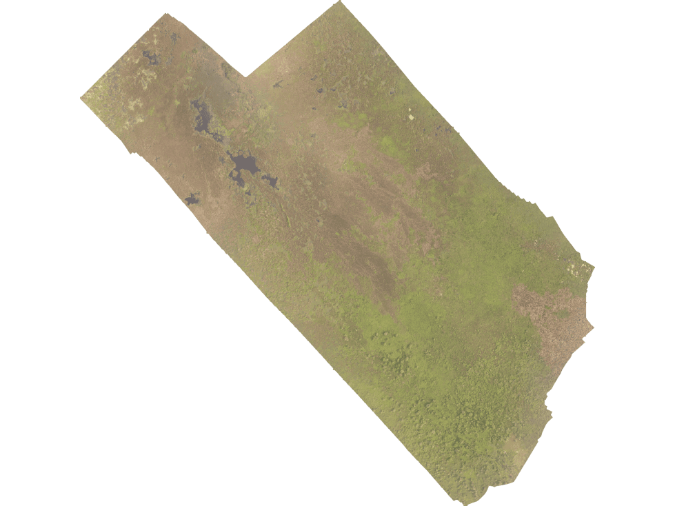 Finca ALGUINET 226 has SANTA MARTA - 1