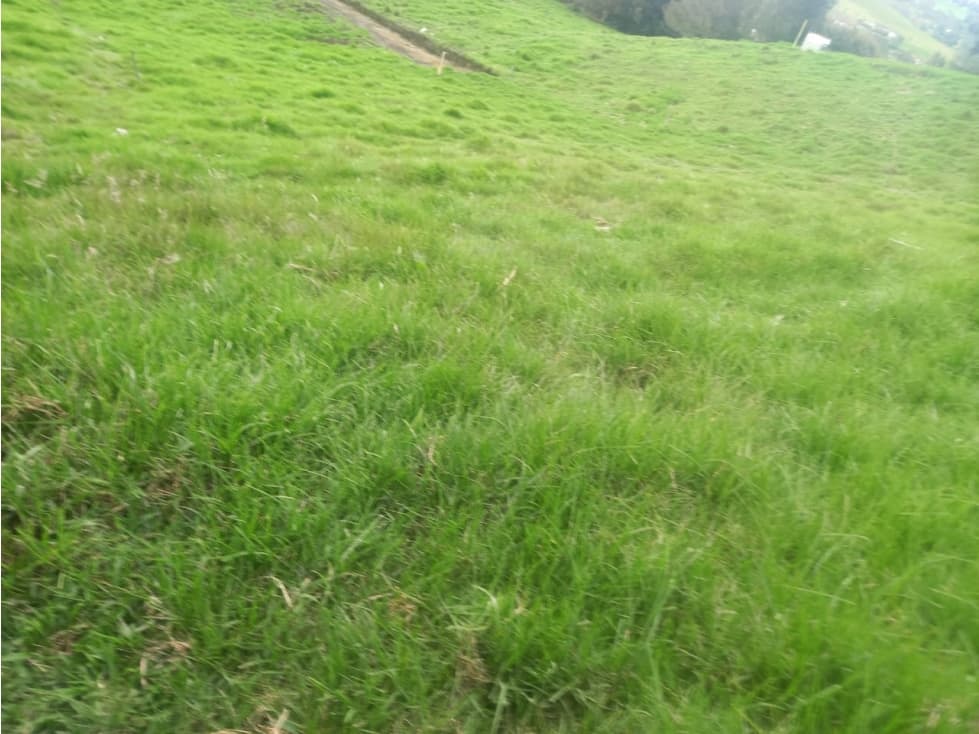 VENTA LOTE RURAL 1.150 M2 EXCELENTE VISTA LA UNIÓN ANTIOQUIA - 1