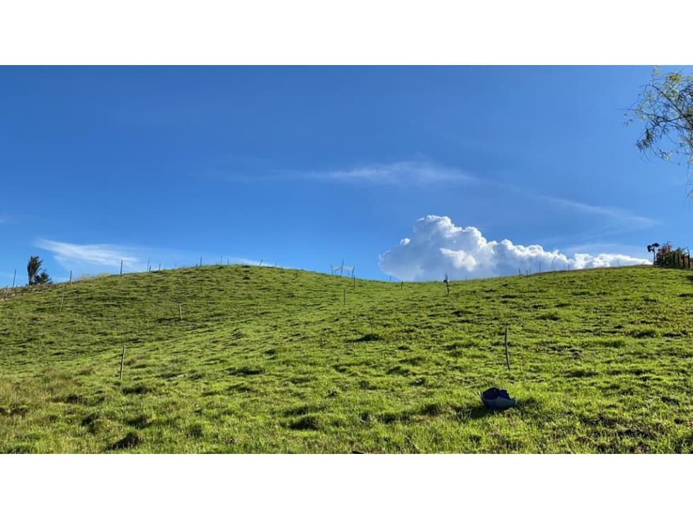VENTA LOTE RURAL 7.500M2 OPORTUNIDAD DE INVERSIÓN LA UNIÓN ANTIOQUIA - 1