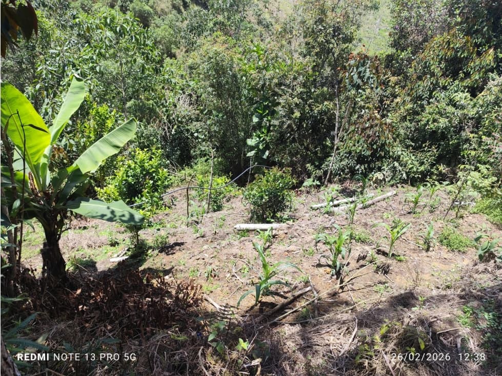 VENTA FINCA 51.200 M2 CON 4 CASAS Y CULTIVO DE HORTENCIA LA UNIÓN ANT - 1