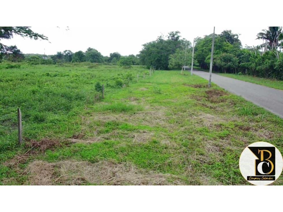 SE VENDE 8 HECTÁREAS + 3.162,73 M2 EN LA VEREDA PALOMAS (YOPAL) - 1