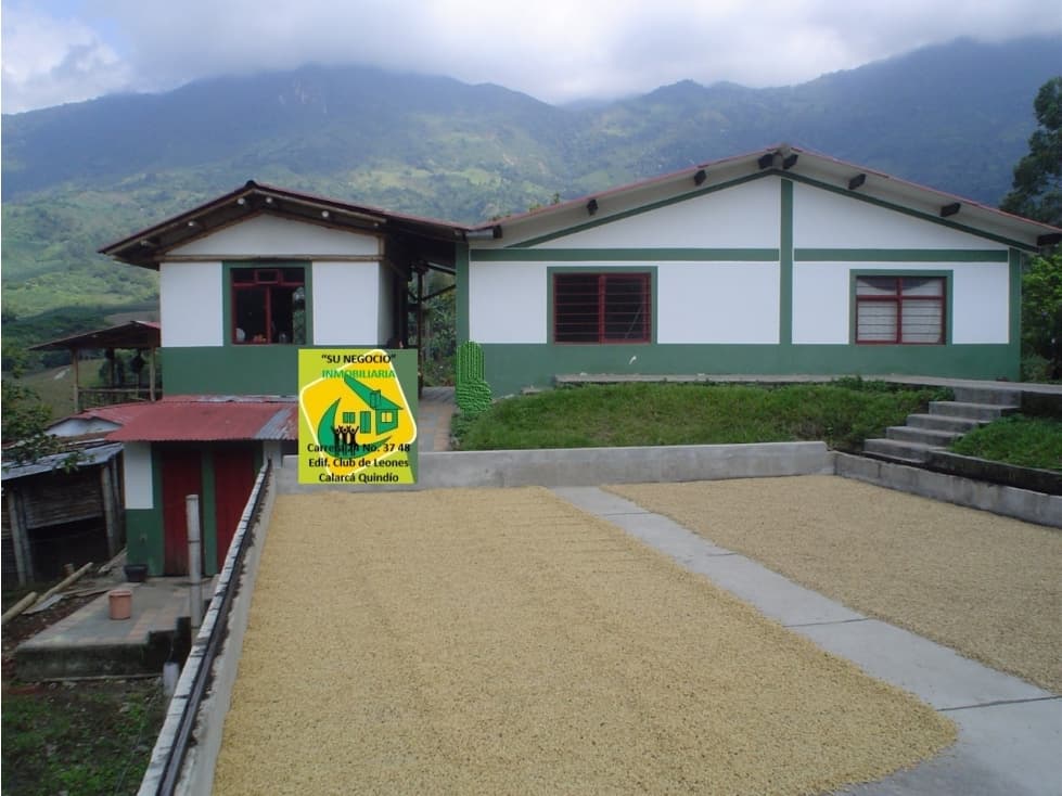 Finca en venta en la Vereda El Calabazo Calarcá. CERTIFICADA EN CAFÉ - 1