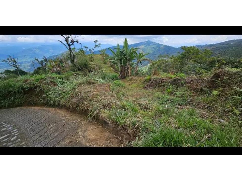 SE VENDE FINCA POR VIA VITERBO O BELALCAZAR - 1