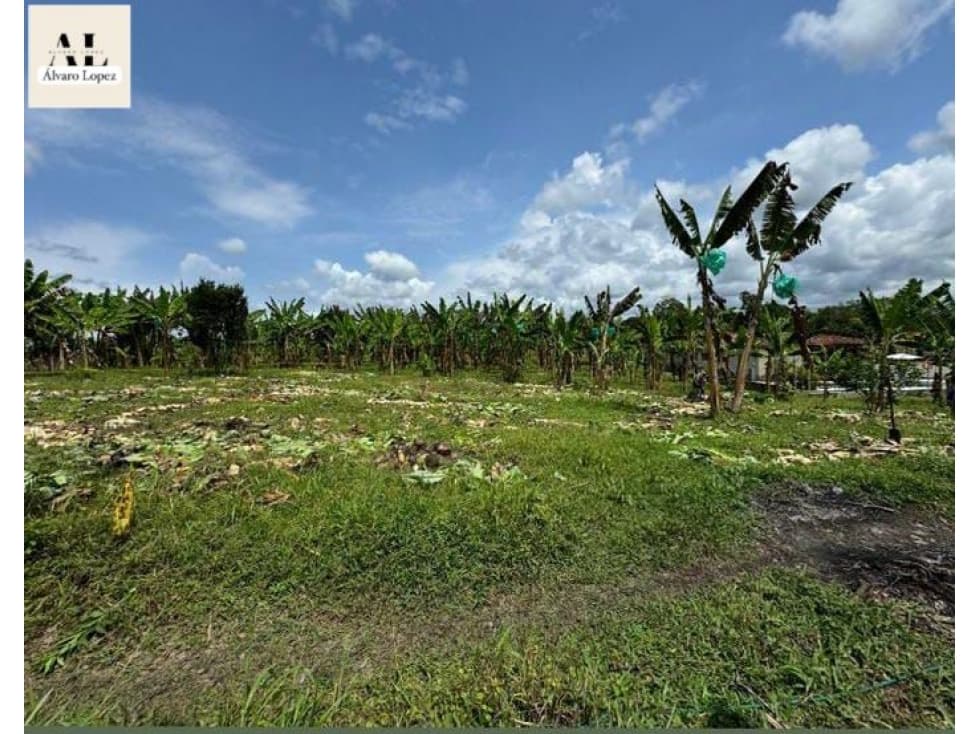 ¡Se venden lotes en Quimbaya, Quindío con escritura pública! - 1