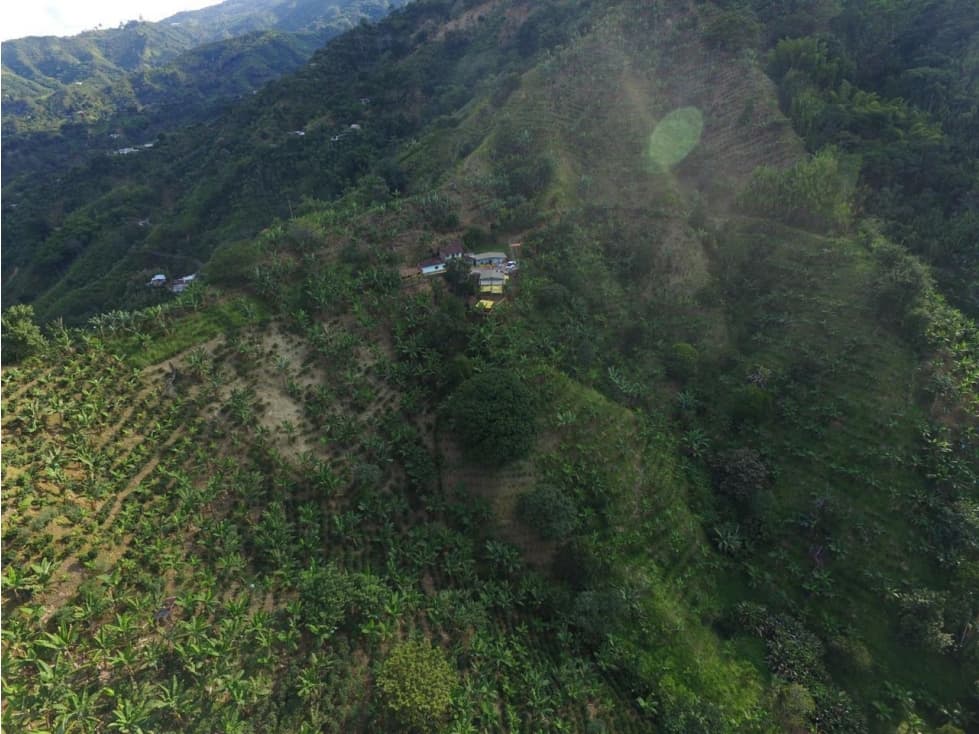 SE VENDE FINCA EN BELEN DE UMBRIA - 1