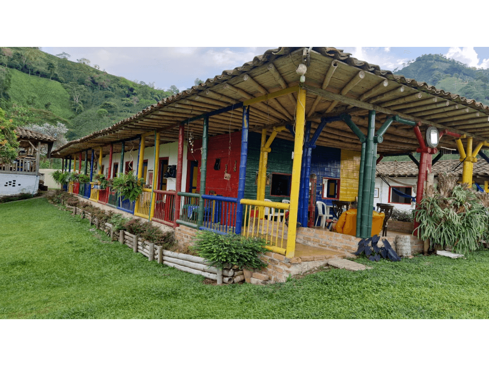 SE VENDE FINCA EN CHINCHINA PRODUCTIVA AREA 38 CUADRAS - 1