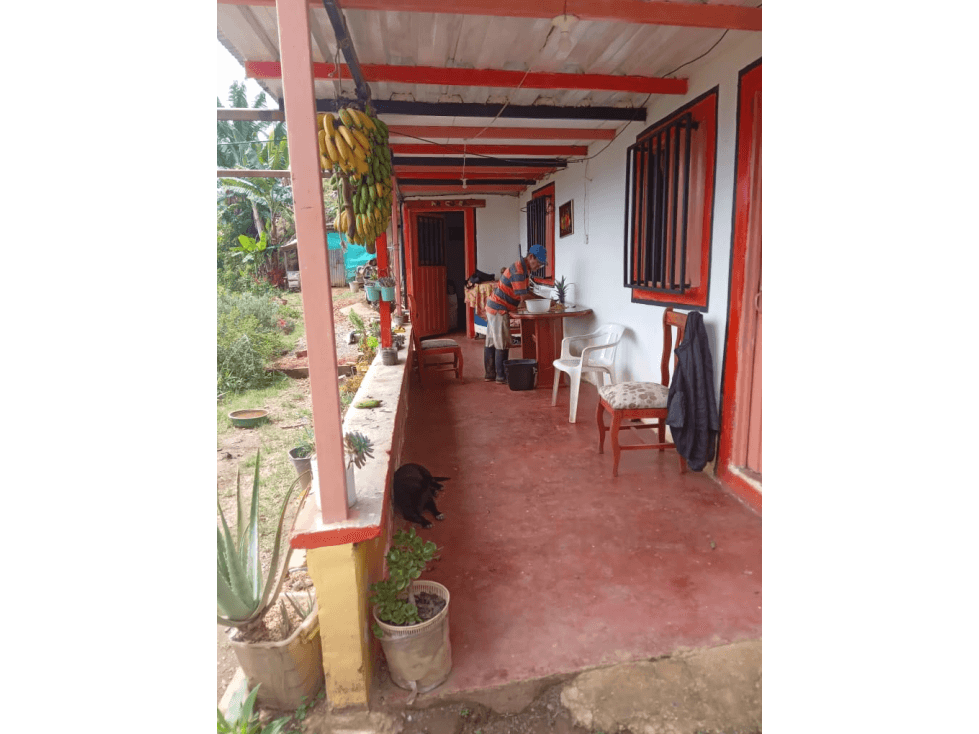 Vendo hermosa finca cafetera platanera y frutales agua propia - 1