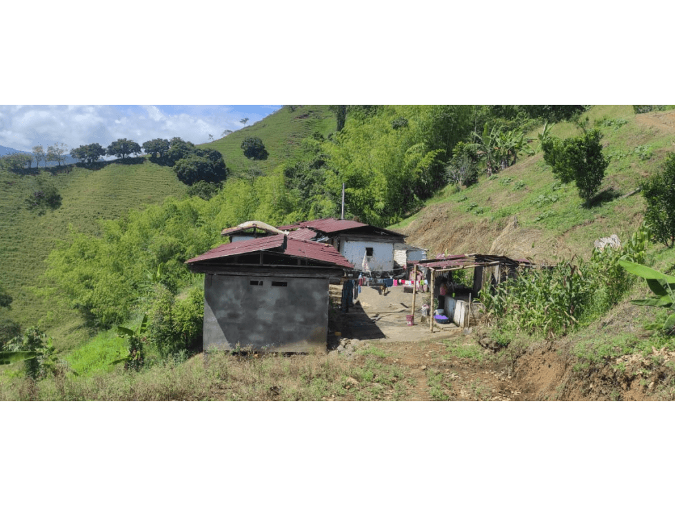 Vendo Finca en la vereda Conventos en Caldas - 1