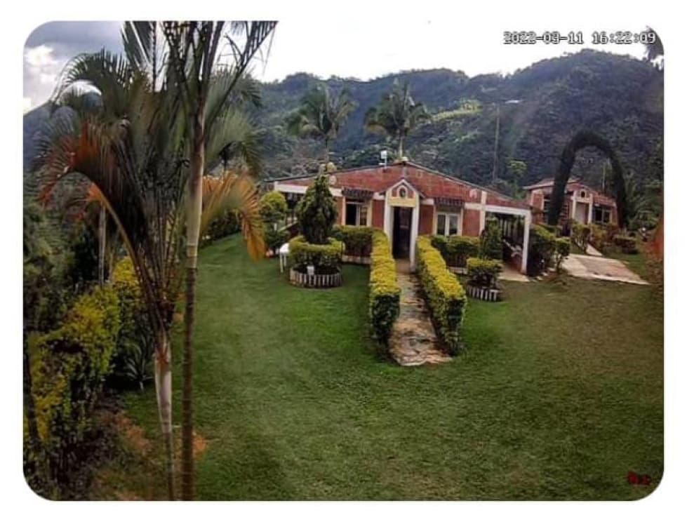 Se vende finca productiva en vía La Celia con Aguacate y lagos - 1