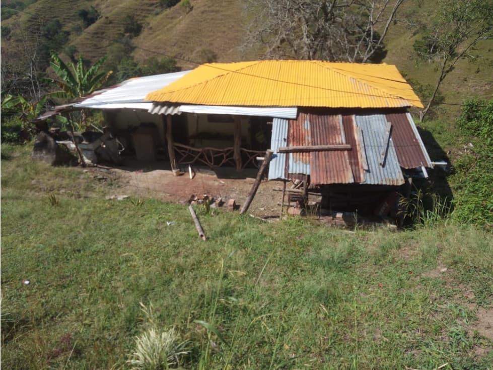 Espectacular terreno para una futura finca turistica Anserma Caldas - 1