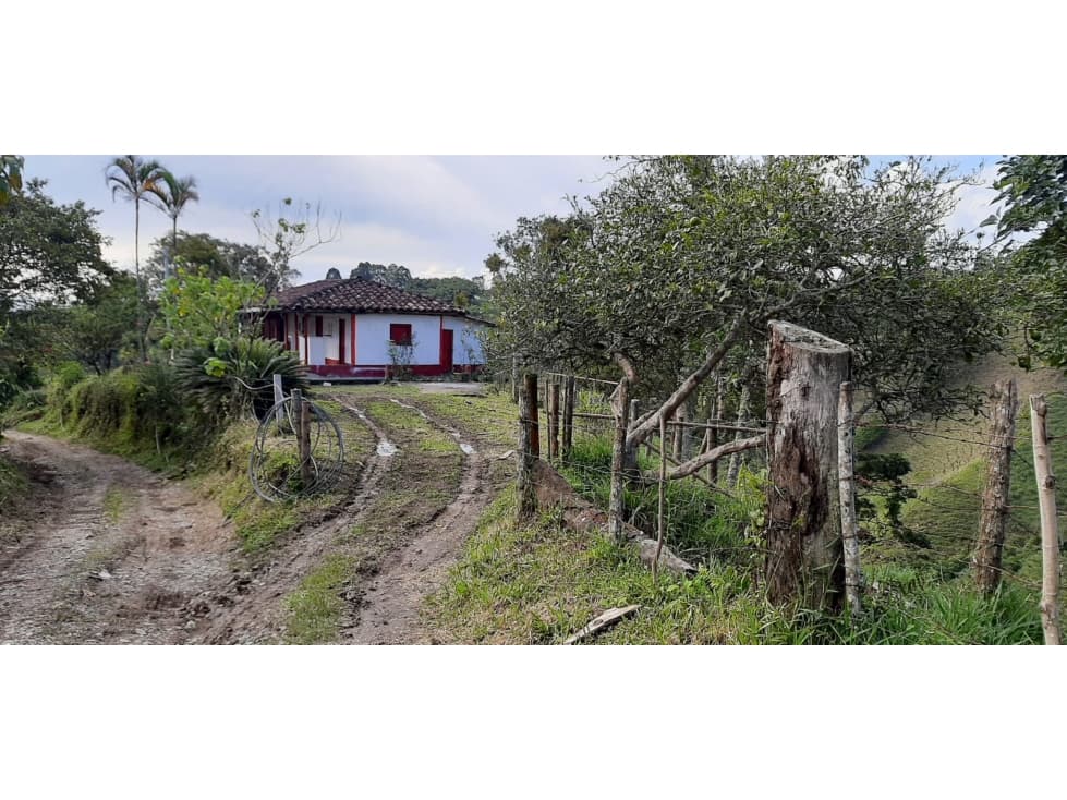 Se Vende Excelente Finca en Filandia, Quindío. - 1
