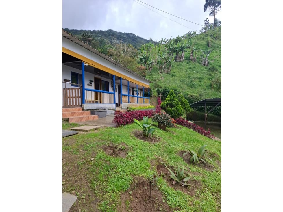 ¡SE VENDE HERMOSA FINCA EN EL ALTO DEL NUDO DOSQUEBRADAS! - 1