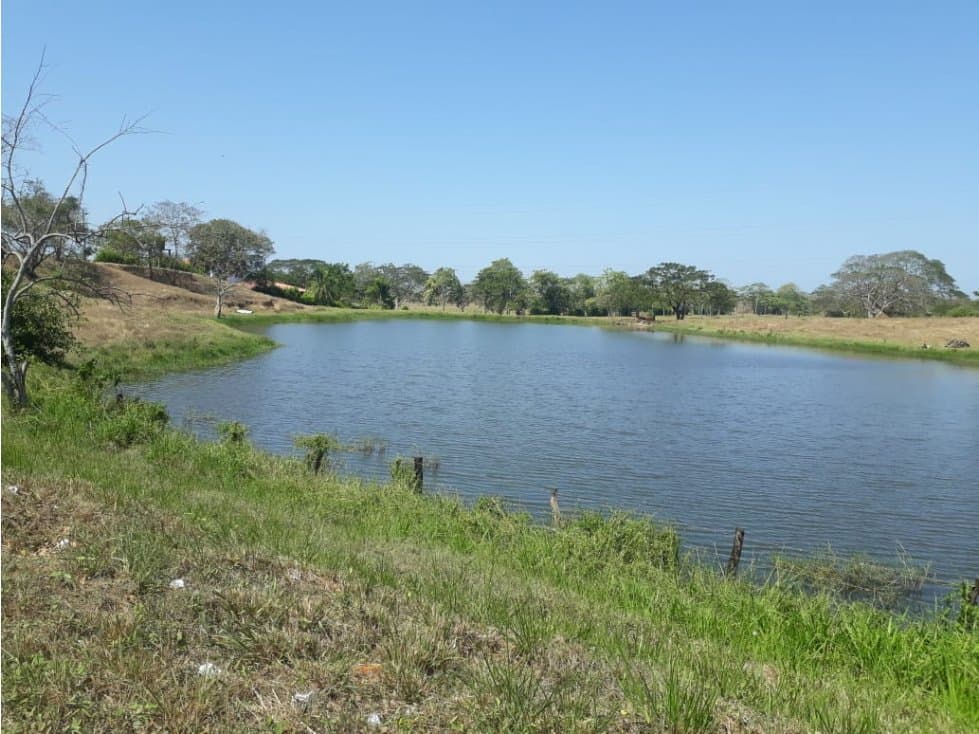 FINCA EN VENTA, BAYUNCA, BOLIVAR - 1