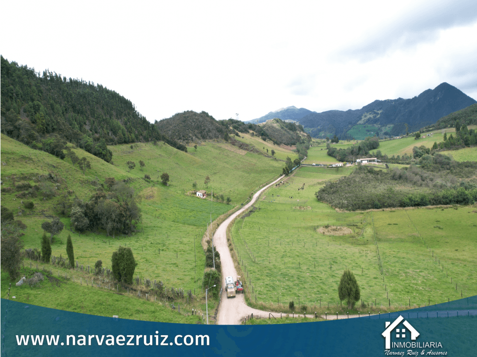 Vendo Finca de 32 Fanegadas en Tabio Vereda Llano Grande - 1