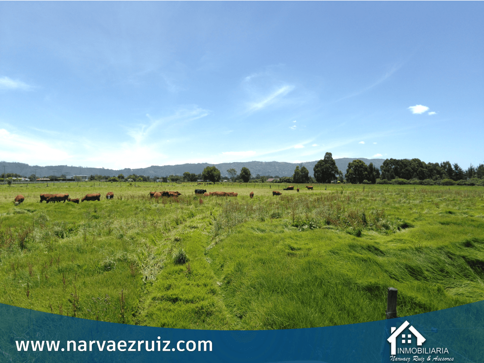 Vendo Hermosa Finca de 23 Fanegadas en Tenjo - 1