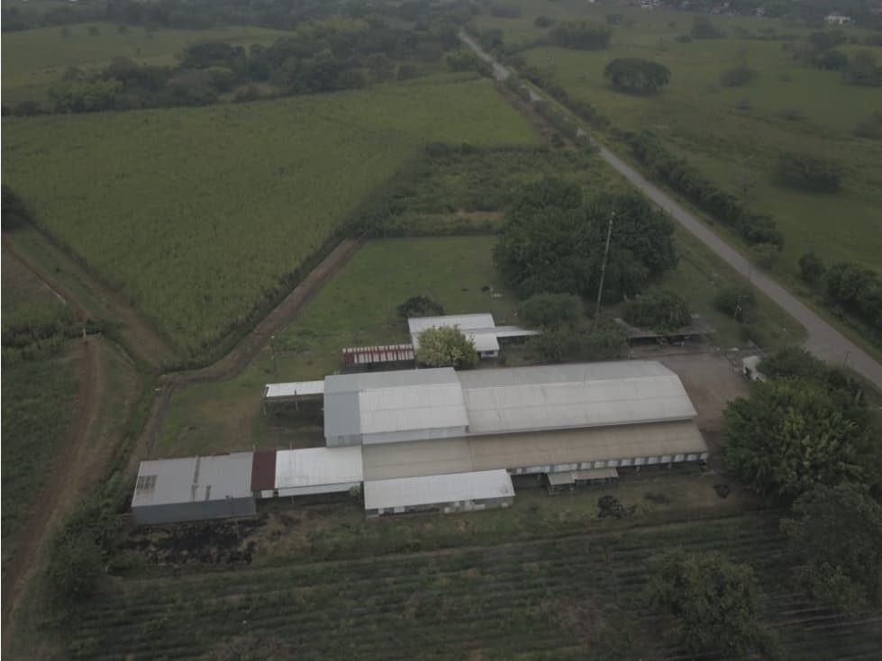 BODEGA - SANTANDER - 1