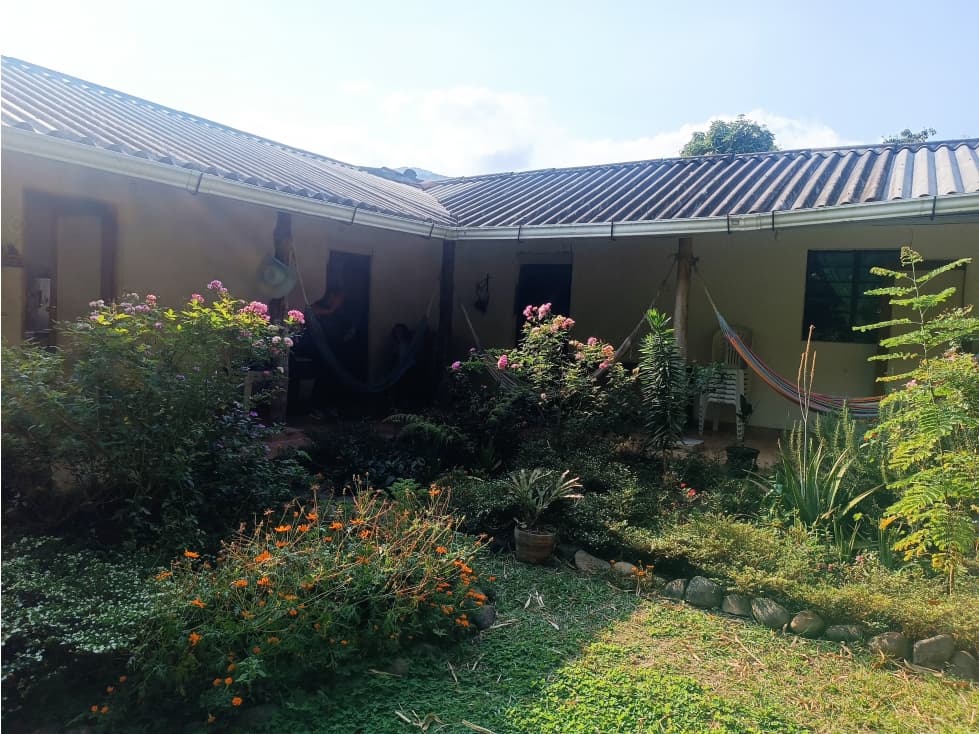 FINCA LOGROÑO GOLONDRINAS - 1