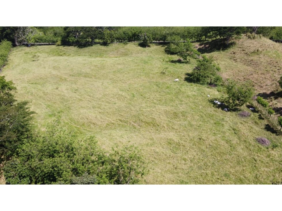 Lotes en Venta en Valparaíso Suroeste Antioqueño - 1