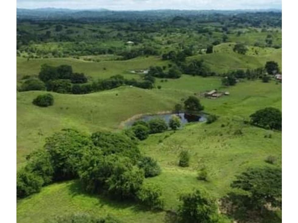 Finca en venta en Córdoba cerca de Montería - 1