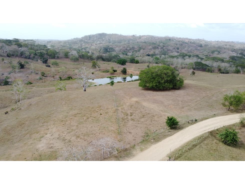 Finca en venta en los Córdobas cerca de Monteria - 1