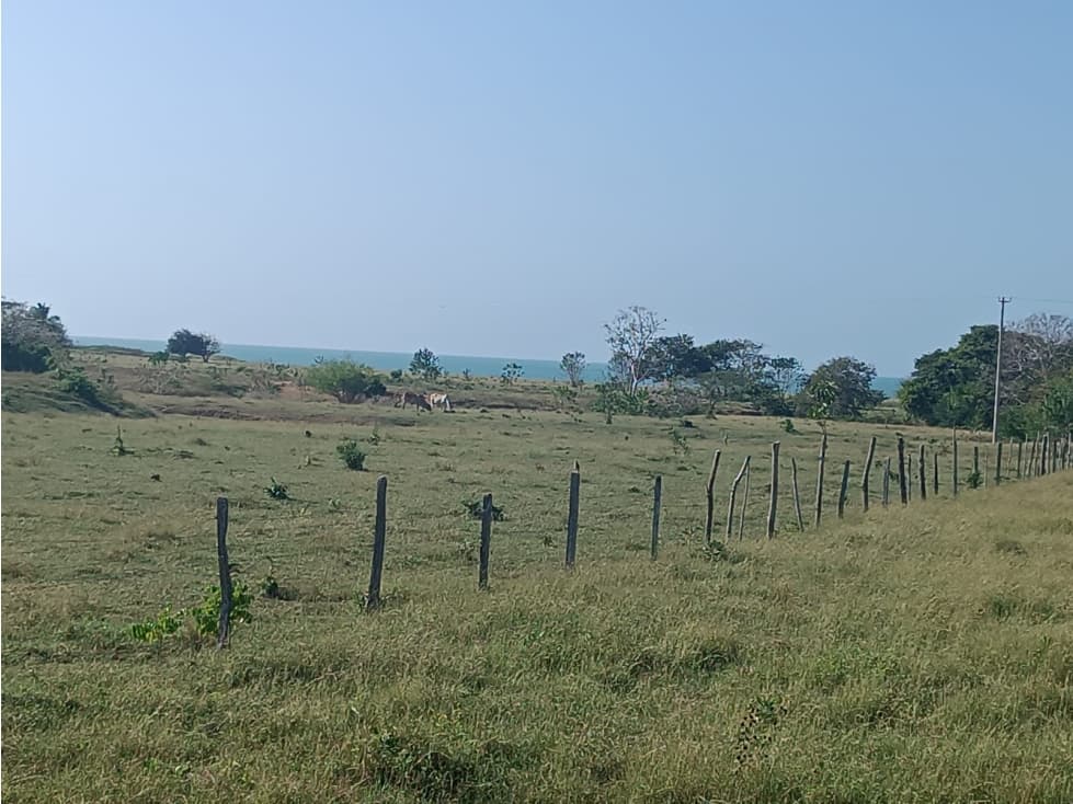 Finca en venta en Puerto Escondido Cordoba - 1